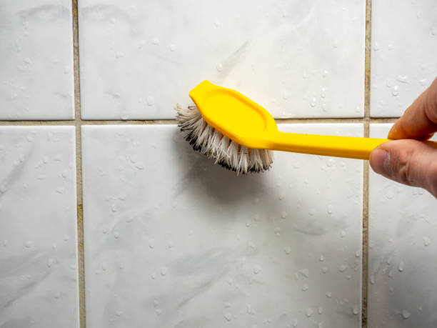 Best Certified Mold Removal  in Pine Valley, CA